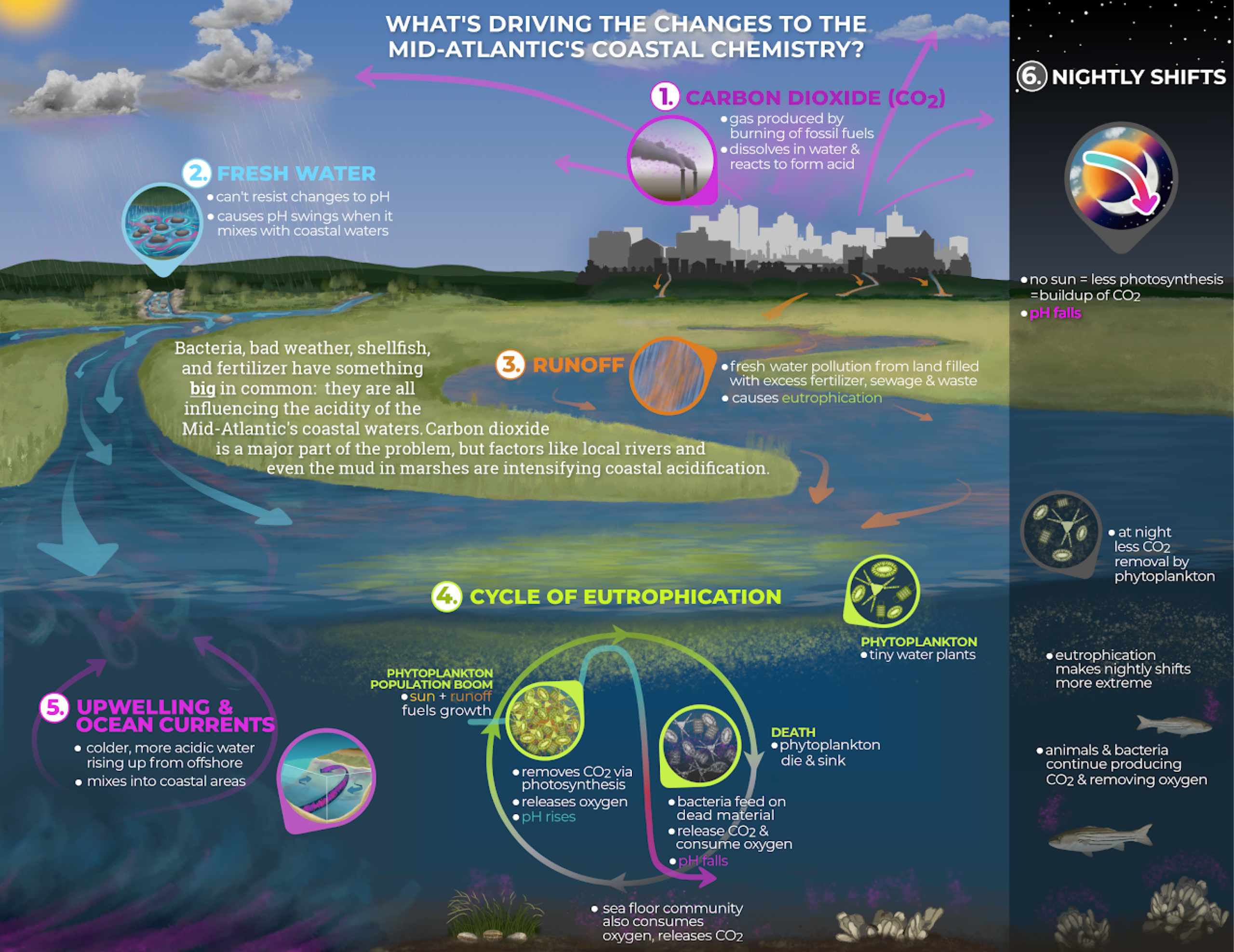What’s Driving The Changes to the Mid-Atlantic’s Coastal Chemistry?